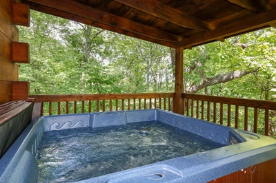 COVE CREEK LODGE