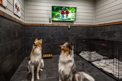 LUCID DREAMS LODGE