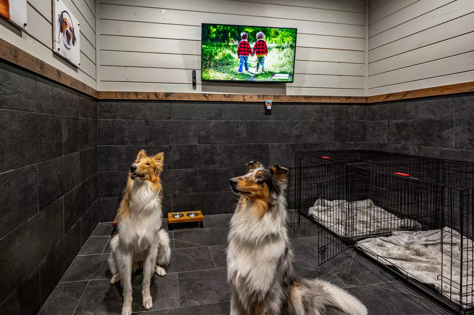 LUCID DREAMS LODGE