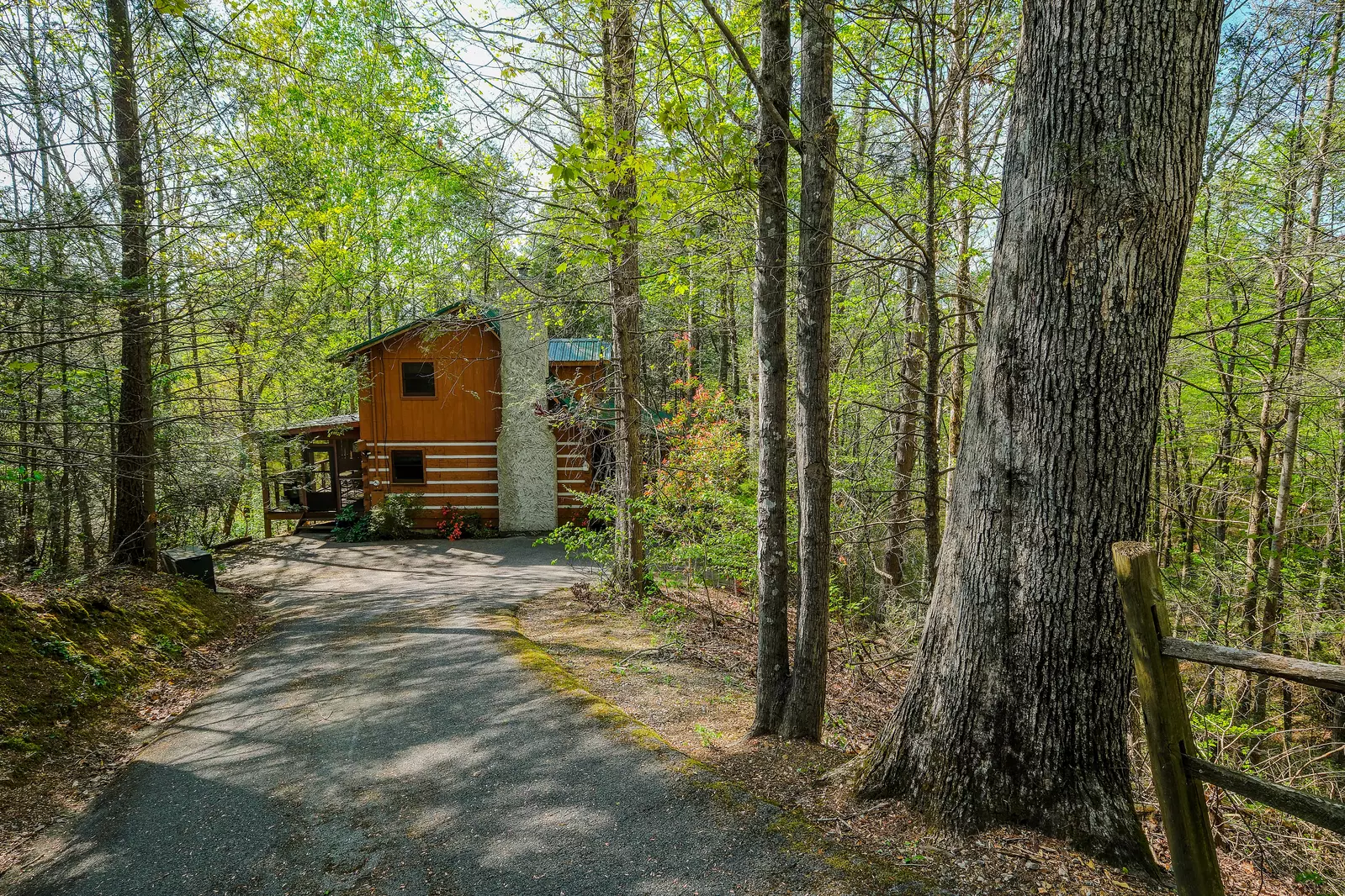 THE LOON'S NEST