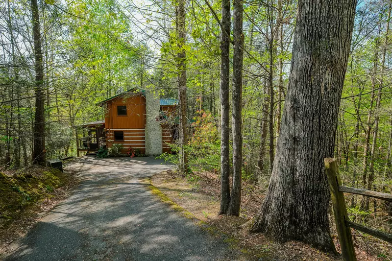 THE LOON'S NEST