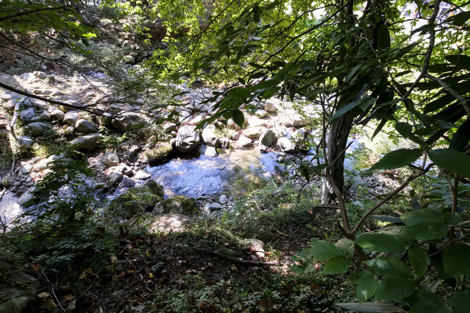 BEAR CREEK HAVEN