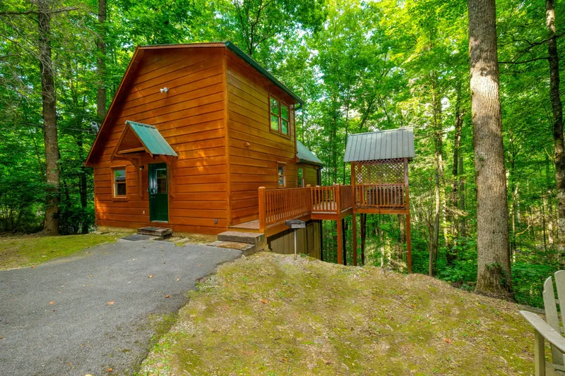 THE NUT HOUSE