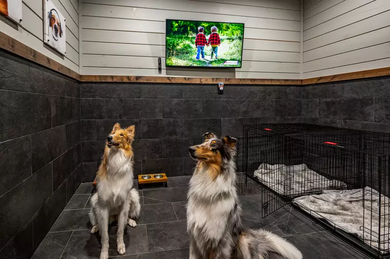 LUCID DREAMS LODGE