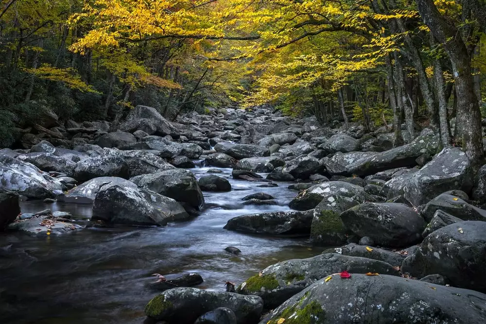 greenbrier area in the Great Smoky Mountains