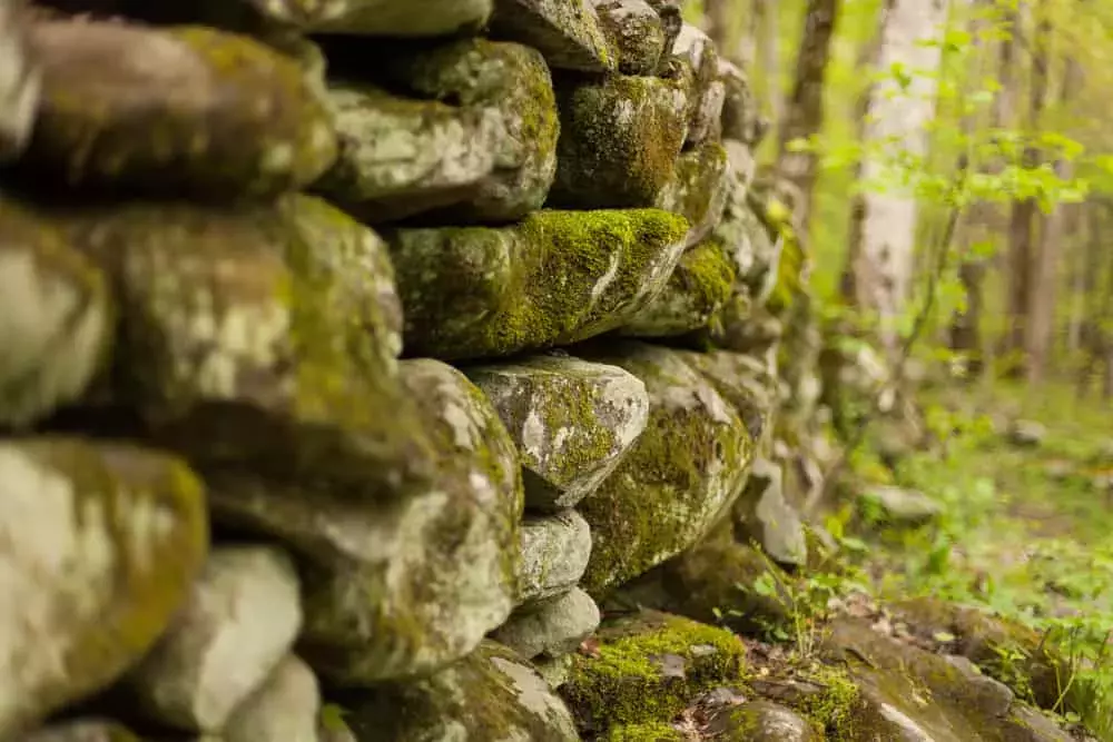 rock house