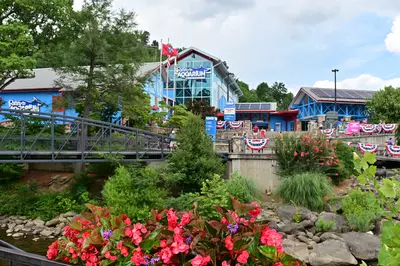 best things to do in gatlinburg with kids